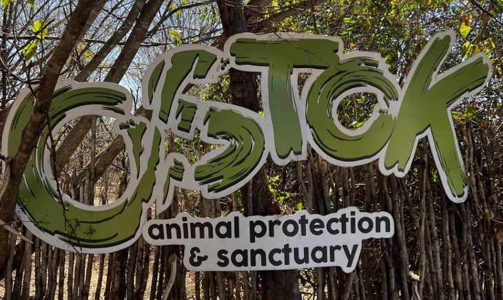 Historia Ostok Sanctuary